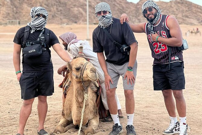 Safari 5 in 1 Quads, Camels, Show, Dinner & Star Gazing in Sharm El Sheikh - Quad biking in the Sinai: speed, dust, and a Mad Max feel