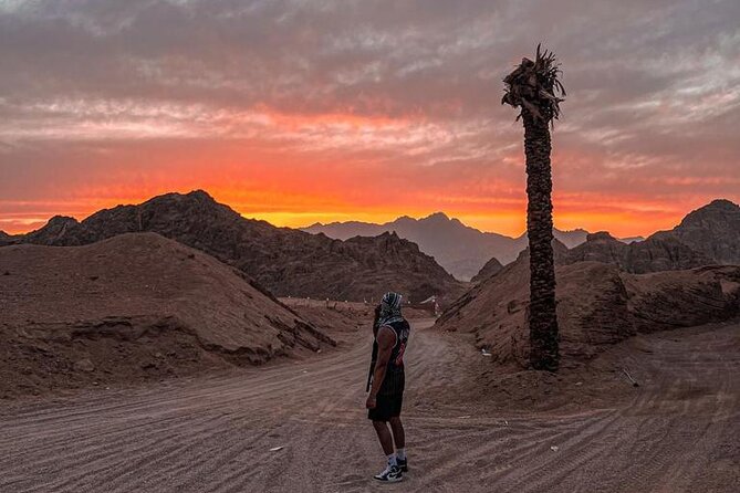 Safari 5 in 1 Quads, Camels, Show, Dinner & Star Gazing in Sharm El Sheikh - Star gazing with a telescope: the night-sky payoff