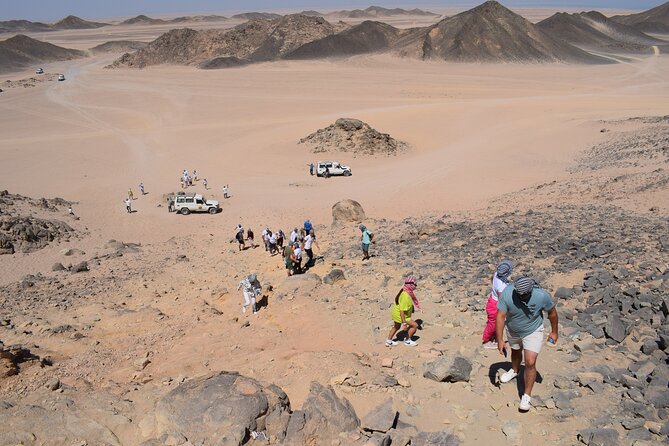 Safari ATV, Buggy, Camel, Bedouin Dinner and Hurghada Show - Dune buggy ride: keep the momentum going
