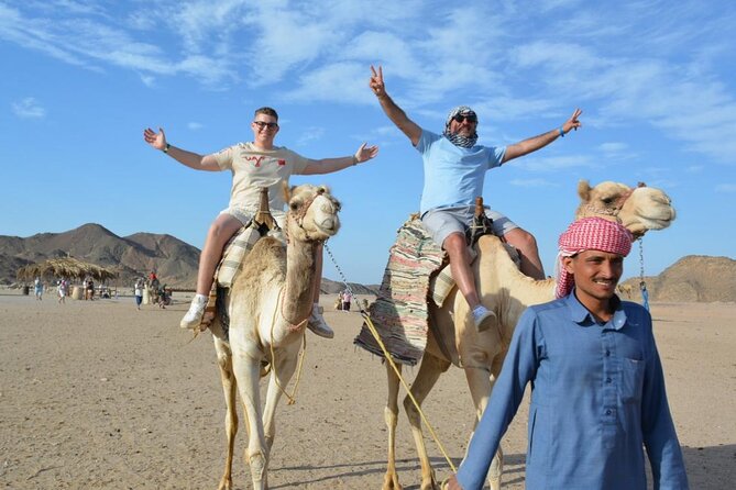 Safari ATV, Buggy, Camel, Bedouin Dinner and Hurghada Show - Dinner under the stars plus belly dance and fire show