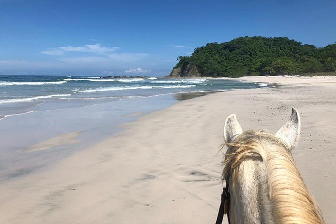 Safari & Barigona Beach on horseback - Getting to Barrigona: Where the Ride Turns Into a Beach Adventure