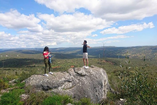 Safari & Boat Tour - Mountains & Dolphins - Key things to know before you book