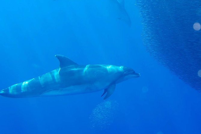 Safari Cumbre Vieja - Onboard Comfort and Inclusions: Small Details That Change the Day