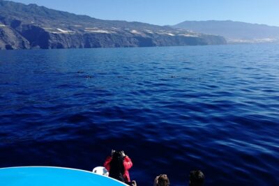 Safari Cumbre Vieja - Approaching Cumbre Vieja Lava Flows: How the Volcanic Story Lands