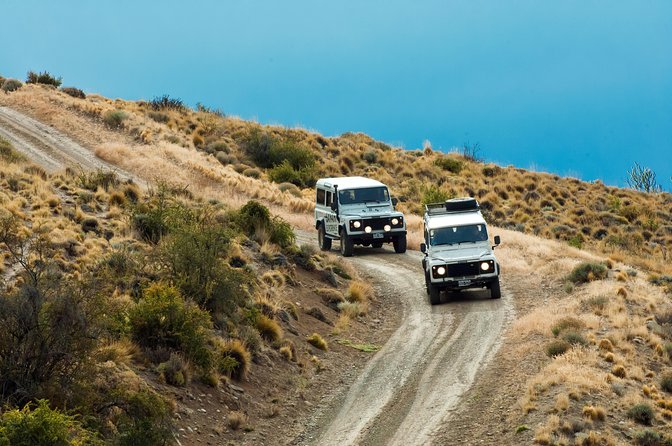 Safari Experience - Wildlife & Steppe - Patagonian Steppe Safari Timing That Fits Real Travel Days