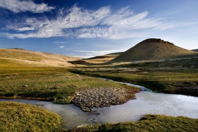 SAFARI EXPERIENCE - WILDLIFE & STEPPE - Wildlife Watching on the Steppe: How to Get More Than a Drive-by