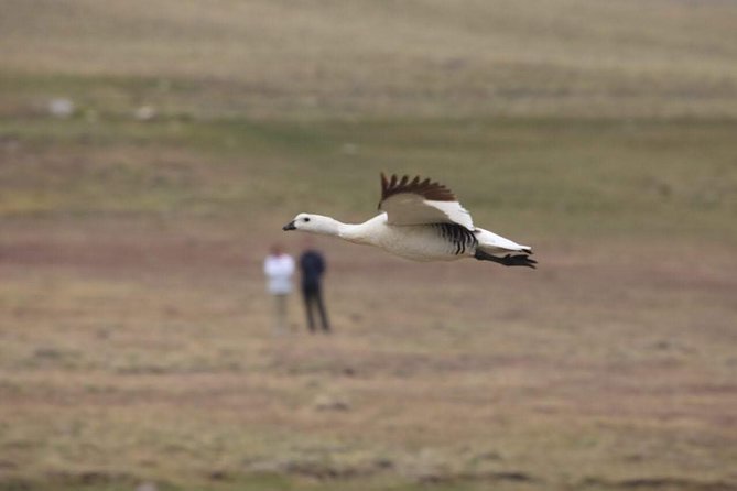 Safari Experience - Wildlife & Steppe - Small Group Energy and the Guide Factor
