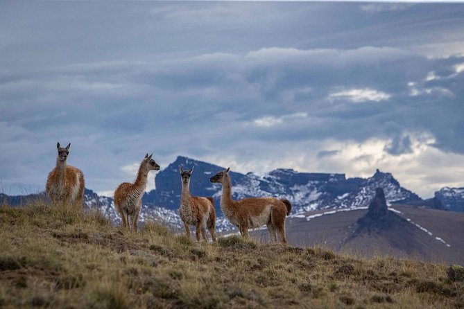 Safari Experience - Wildlife & Steppe - What to Wear for 5 Hours in the Steppe