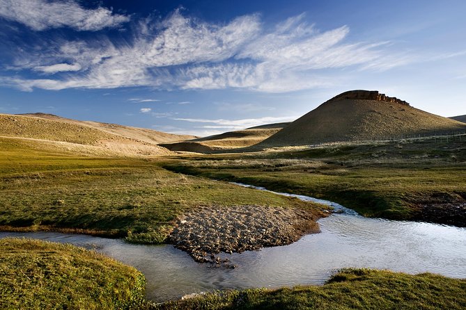 Safari Experience - Wildlife & Steppe - Estancia 25 de Mayo: Why This Ranch Reserve Is the Point