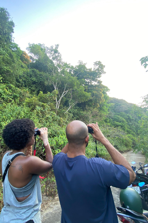 Safari - Finding the most endangered monkey in the World - Price and value: is $48 fair for a rare-monkey search?