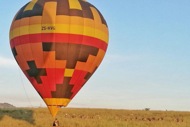 Safari Flight - Key points that make this balloon safari worth your time