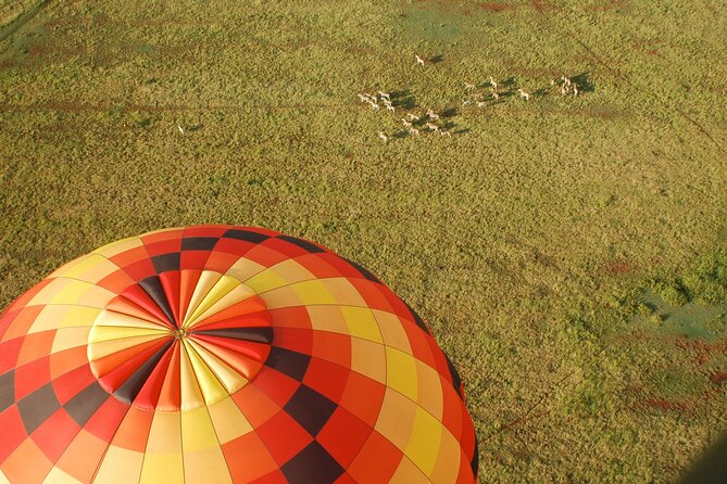 Safari Flight - The morning flow: from Kloofzicht Lodge to a smooth, 1-hour flight