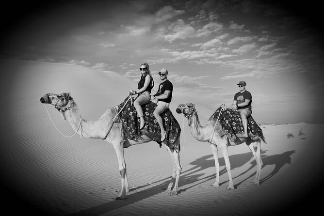 Safari Half-Day Adventure from Abu Dhabi - Al Khatim from Abu Dhabi: the desert change-of-scene you can actually fit