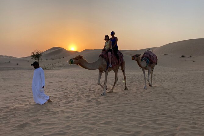 Safari Half-Day Adventure from Abu Dhabi - What the $62 price really covers (and where you might spend more)