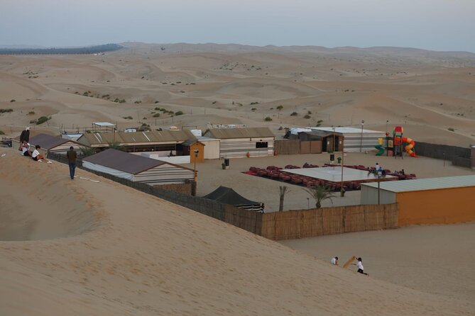 Safari Half-Day Adventure from Abu Dhabi - Pickup, timing, and how the day flows (without feeling rushed)