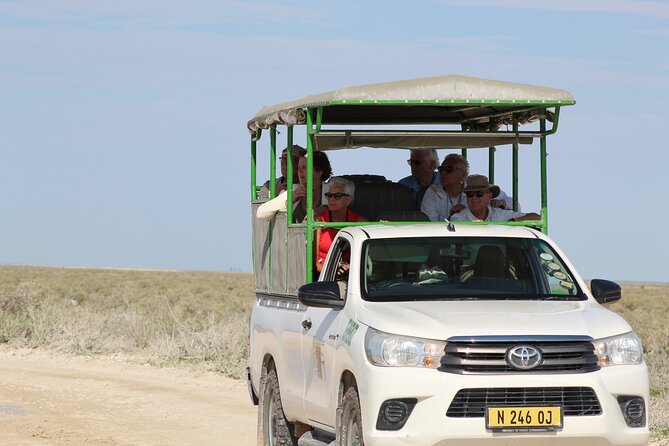 Safari in Etosha national park with professional tour guides born in Etosha. - Etosha in One Day: What the Experience Feels Like
