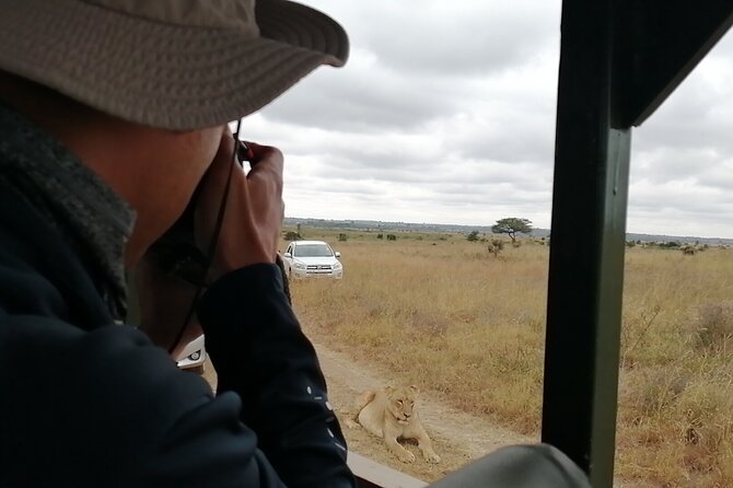 Safari In Nairobi Kenya National Park Half day Tour - What You Might See: Lions, Black Rhino, Cheetahs, and the Rest