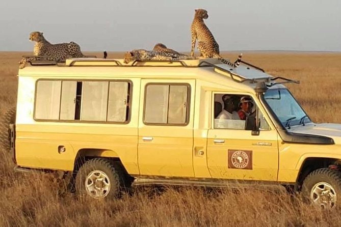 Safari in Tanzania 5 days: Manyara, Ngorongoro, Serengeti - Serengeti National Park: Why the Numbers Still Feel Real