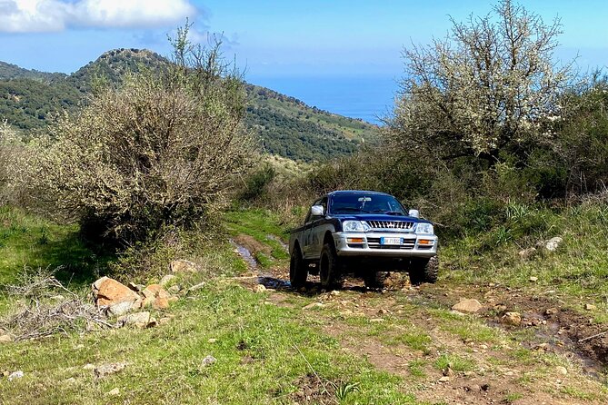 Safari Jeep Wild Adventure - Price and value: is $143.30 a good deal for this half-day?