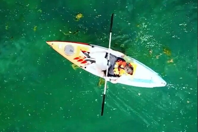 Safari kayak adventure w BBQ & Beer - Price and Value: Why $52.68 Often Feels Fair for This Mix