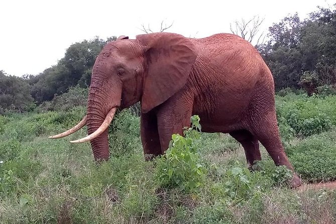 Safari Kenya with Patrick - Who this safari fits best