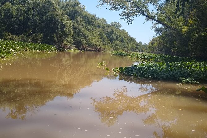 Safari náutico en tigre - Cruising the Tigre Delta at speed, with a guide who actually talks