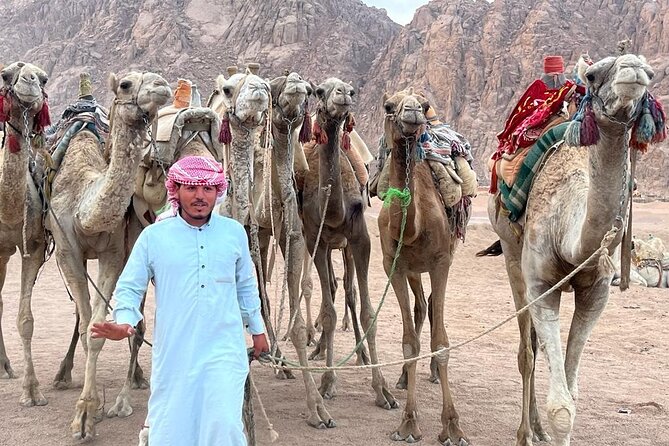 Safari Quad Bike Adventure, Camel, Show, Dinner & Stargazing - Timing and pickup: what the 4:00 pm start means