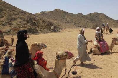 Safari quad, jeep, camel ride, show and dinner Hurghada - The desert ignition: how the quad time really feels