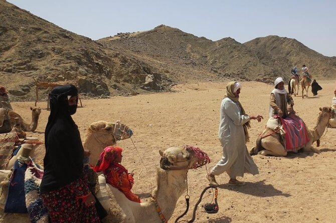 Safari quad, jeep, camel ride, show and dinner Hurghada - The desert ignition: how the quad time really feels