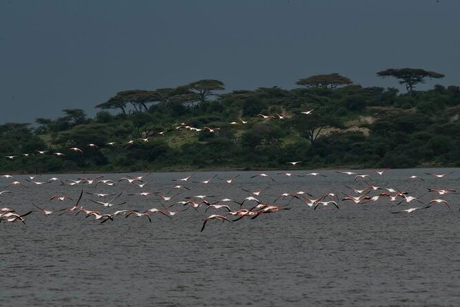 Safari Serengeti And Ngorongoro - Price and Value: What You’re Paying for (and What’s Not Included)