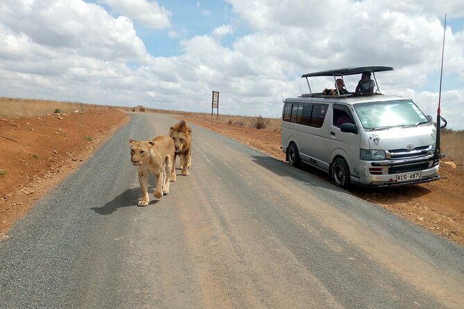 Safari Tour; Nairobi National Park - Inside the Park: What You’re Really Chasing in 4–5 Hours