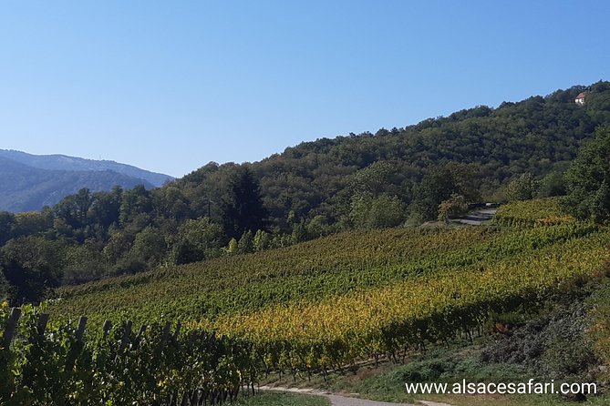 Safari-Tour Villages and vineyard, 1/2 day afternoon - The small group (8 people): why it feels more personal than it sounds