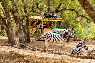 Safari West Sonoma Adventure Tour - Stop 1: Safari West and the big-picture conservation lesson