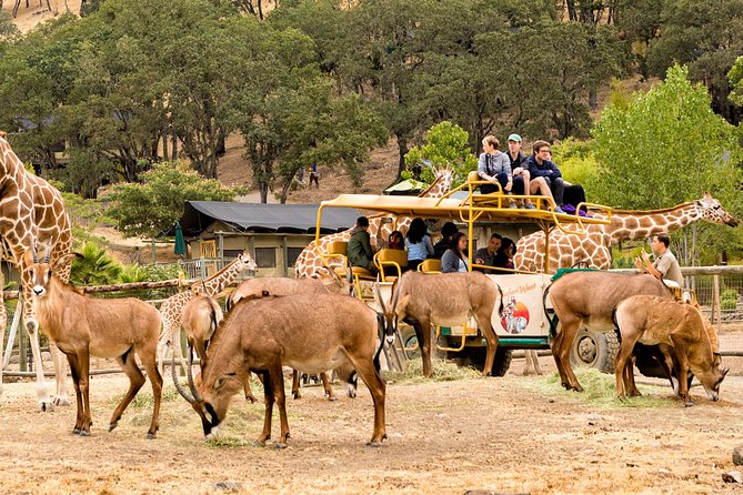 Safari West Sonoma Adventure Tour - Family-friendly safari in wine country: timing that actually works