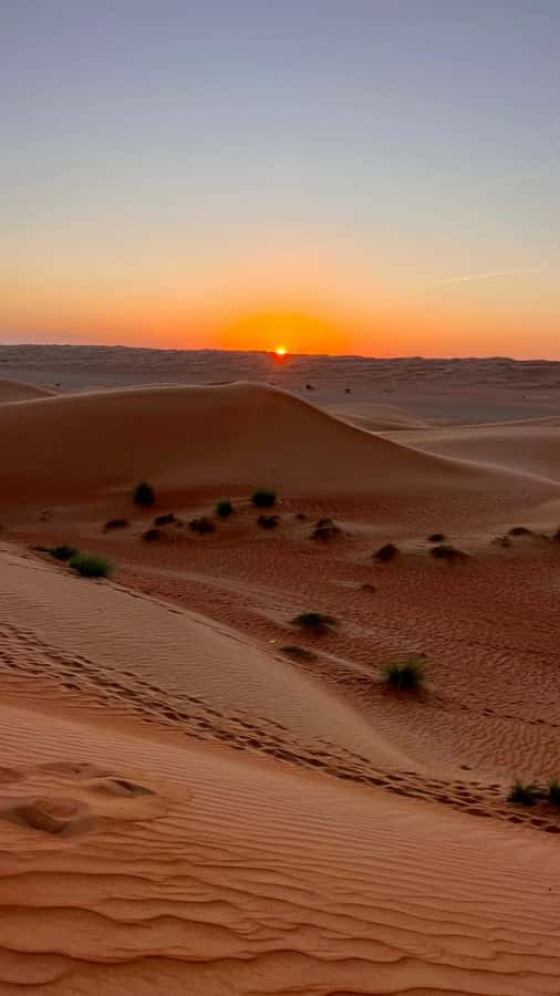 Safari World Zoo and Wahiba Sands with Sunset - Dinner under the stars at Sama al Wasil (or similar): what to expect from the meal