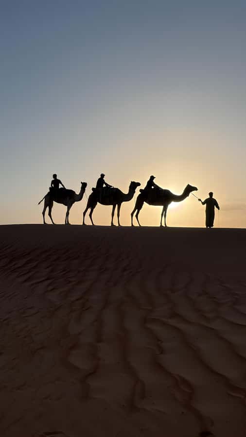 Safari World Zoo and Wahiba Sands with Sunset - Muscat pickup to 4x4 driving: what the “8 hours” really means