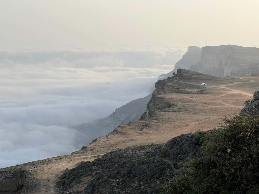 Salalah: Wadi Darbat, Jabal Samhan, Baobab, Mirbat Sand Dune - Wadi Hinna baobabs: rare trees that make time feel slower