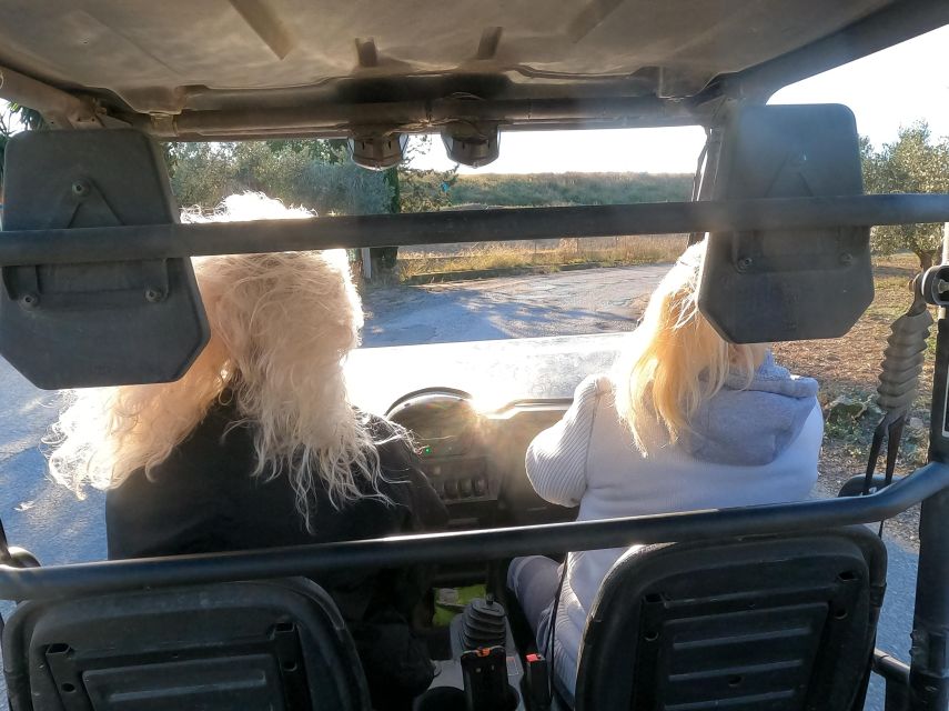 Salou: Buggy Safari with Hotel Transfer - Why this Salou buggy safari feels like more than a short ride