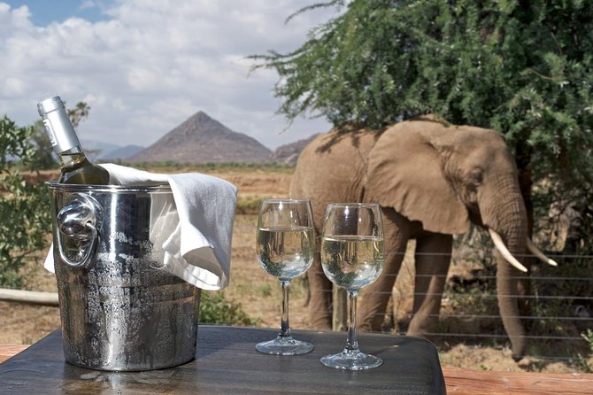 Samburu/ Aberdare/ Lake Nakuru/ Masai Mara 7 Days Safari - Masai Mara National Reserve: Big Five chances plus two full viewing blocks