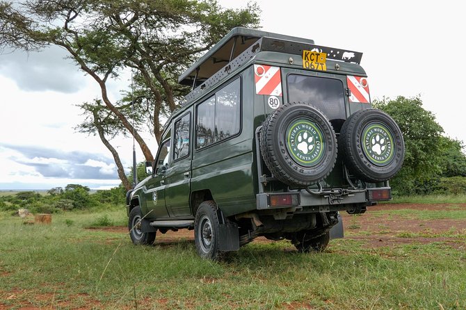 Samburu, Lake Nakuru & Masai Mara 6 Days Private 4x4 Jeep Safari - Day 4: Nakuru to Maasai Mara, arriving for an afternoon drive