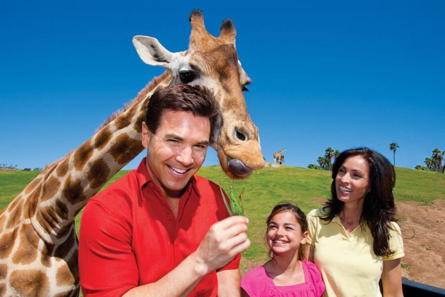 San Diego: San Diego Zoo Safari Park 1-Day Ticket - Key things that make this ticket worth your time