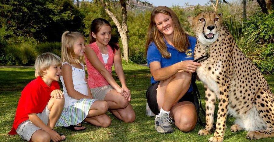 San Diego: San Diego Zoo Safari Park 1-Day Ticket - Wings of the World Aviary and Condor Ridge for bird lovers