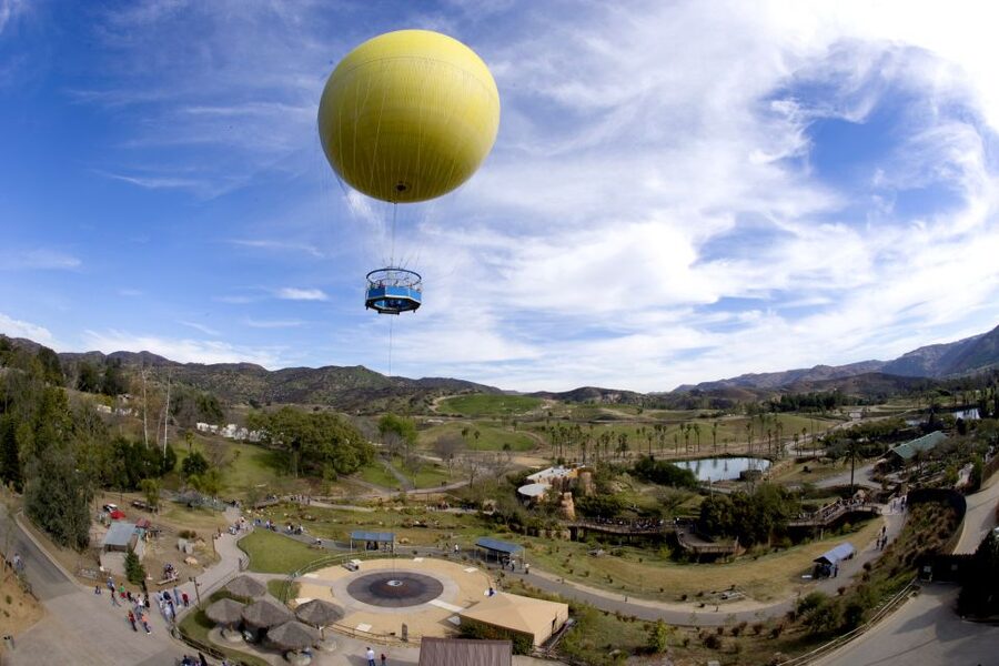 San Diego: San Diego Zoo Safari Park 1-Day Ticket - Why San Diego Zoo Safari Park feels different from a standard zoo
