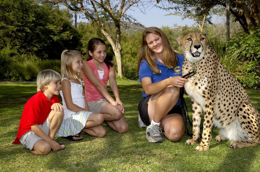 San Diego: San Diego Zoo Safari Park 1-Day Ticket - Plan your day around the Africa Tram Safari hours