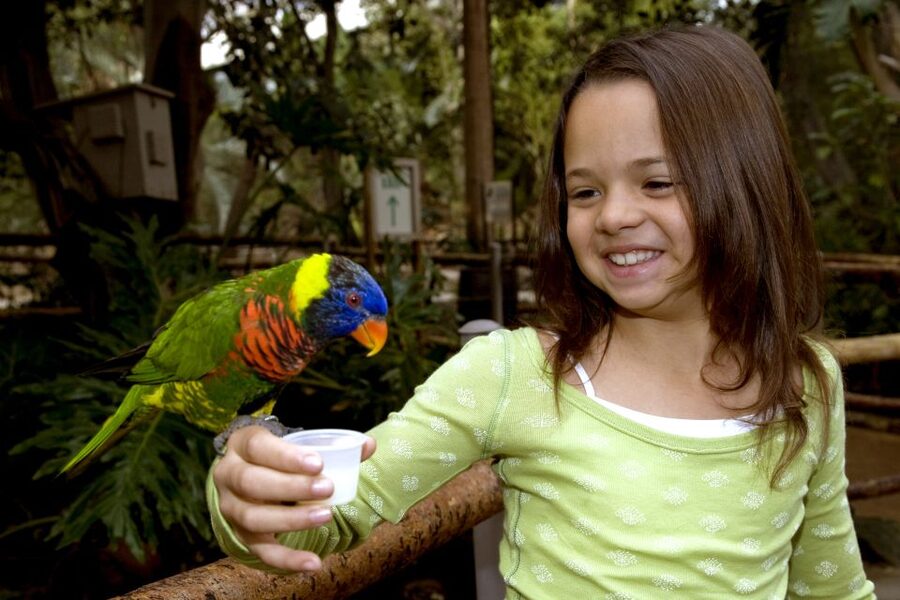San Diego: San Diego Zoo Safari Park 1-Day Ticket - Heart of Africa and Jamison Research Island: where walking turns into meaning