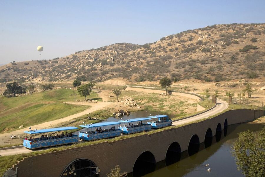 San Diego: San Diego Zoo Safari Park 1-Day Ticket - Elephant Overlook and the aerial view that makes the day cooler