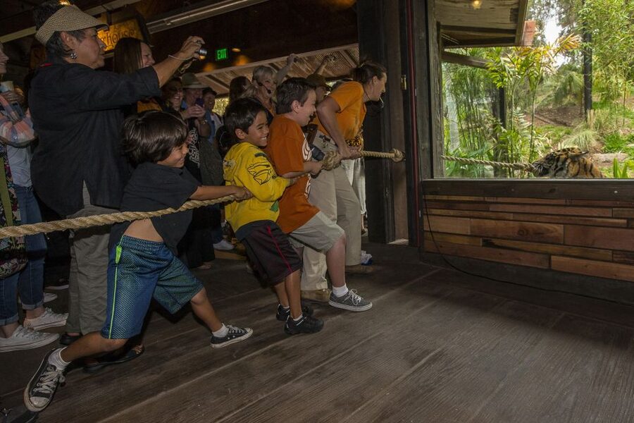 San Diego Zoo and Safari Park: 2-Day Entry Ticket - Safari Park: Big-Space Enclosures Across 1,800 Acres