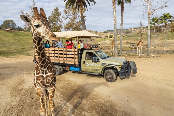 San Diego Zoo and Safari Park 2-Visit Pass Ticket - Mobile ticket entry: fast turnstiles and what can go wrong
