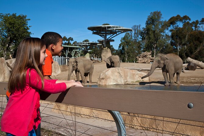 San Diego Zoo and Safari Park 2-Visit Pass Ticket - Crowds, food, parking, and comfort tips that save your day