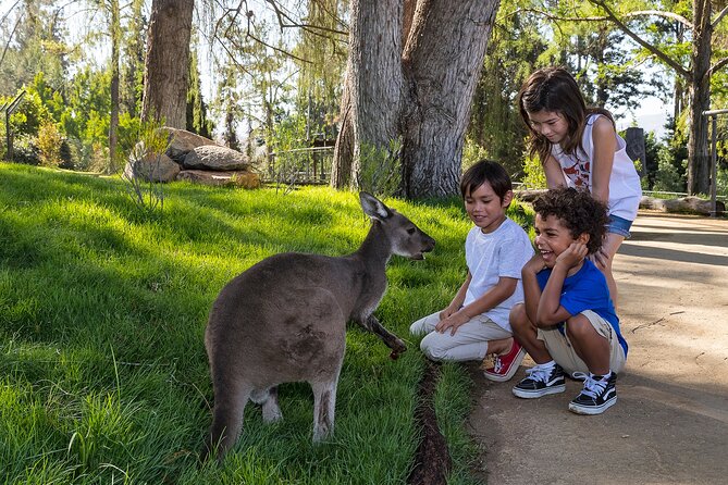San Diego Zoo Safari Park 1-Day Pass: Any Day Ticket - Should You Book This Any-Day Safari Park Pass?